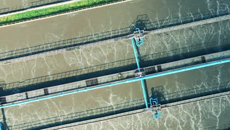 top view of a wastewater cleaning reservoir. water management concept.