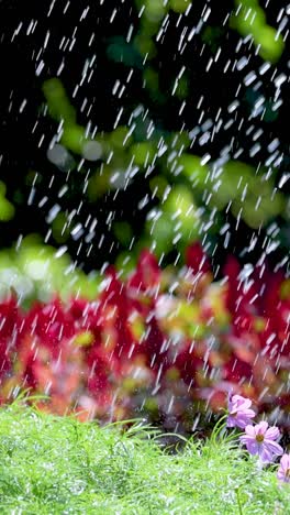 flowers and plants being watered in a garden