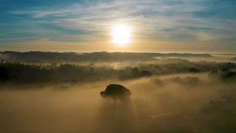 drone shot of a lonely tree in the middle of the fog sunrise