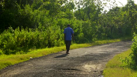 blue shirt farmer walking in village in sunny day green path jungel