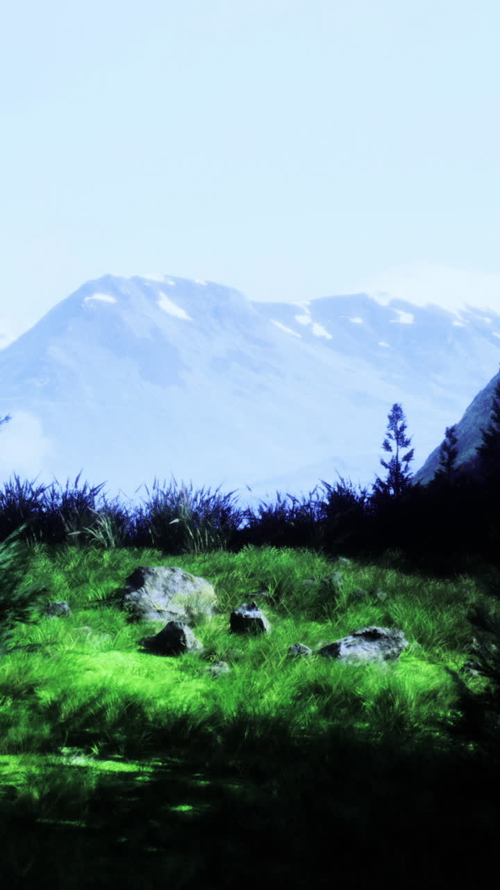 Lush green hillside with distant mountains under a clear sky during daytime