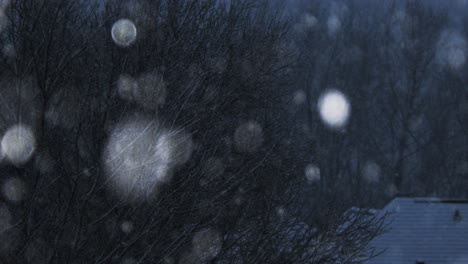 tree-covered-lightly-in-snow-in-the-midst-of-an-early-night-snow-next-to-the-rooftop-of-a-house