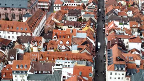 aerial view of heidelberg germany