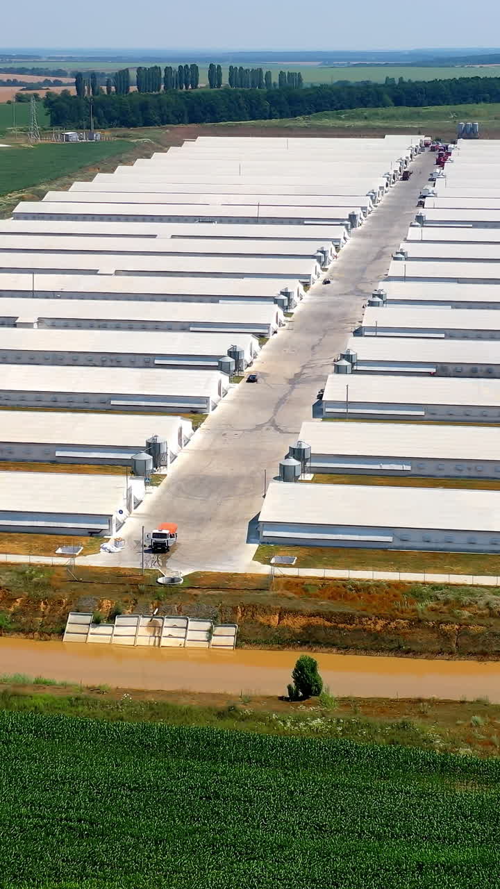 Agriculture business among environment. Modern farm buildings on field. Large territory of farmland for livestock on green meadow. View from above. Vertical video
