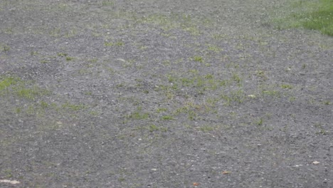 lots of raindrops splashing on the pavement during a heavy downpour