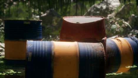 Barriles-Oxidados-En-Bosque-Verde