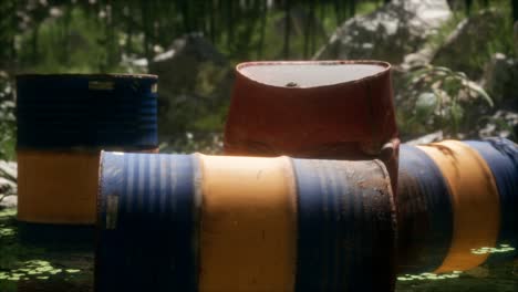 Rusty-barrels-in-green-forest