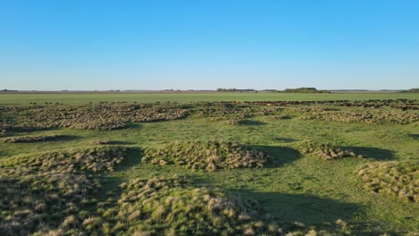 Field-and-grassy-sand-dunes,-La-Pampa,-Argentina,-wide-forward-aerial