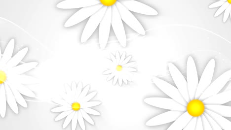 daisy background