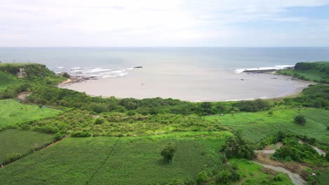 Hidden-Beach-Facing-the-Ocean-With-Agricultural-Fields-Of-Corn-Maize-And-Rice-At-Foreground-In-Sumbawa-island,-Indonesia