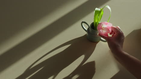 tulip beautiful arranged in a handcrafted vase, beautifully showcased against a backlit countertop