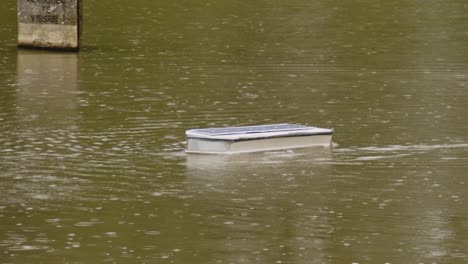 Wide-view-of-a-inspiring-RC-solar-panel-boat-moving-through-a-pond-in-heavy-rain