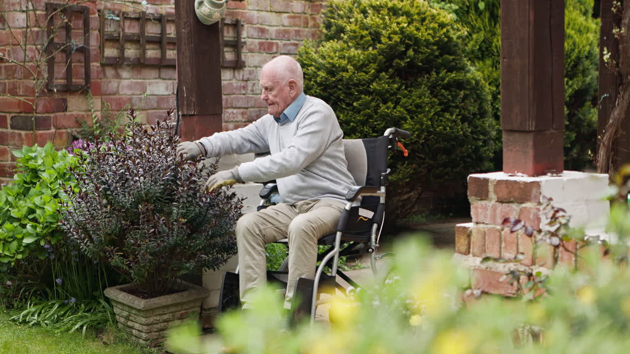 Elderly man gardening in wheelchair