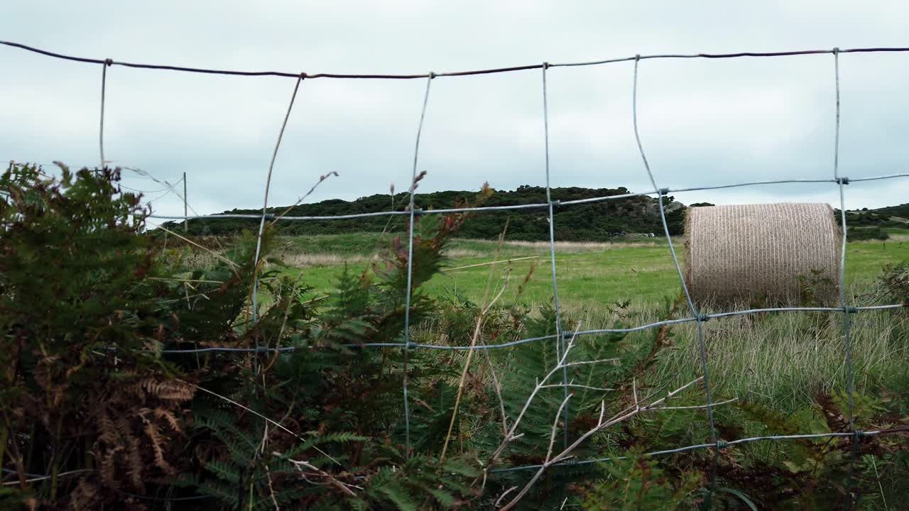 열린 흐린 영국 농지에서 압연 짚 건초 베일과 시골 초원 철조망