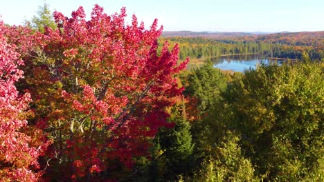 an aerial shot of a mountain ridge covered in autumn foliage