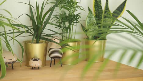 potted plants and whimsical wooden figures on a shelf