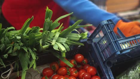 verduras frescas en un mercado de agricultores