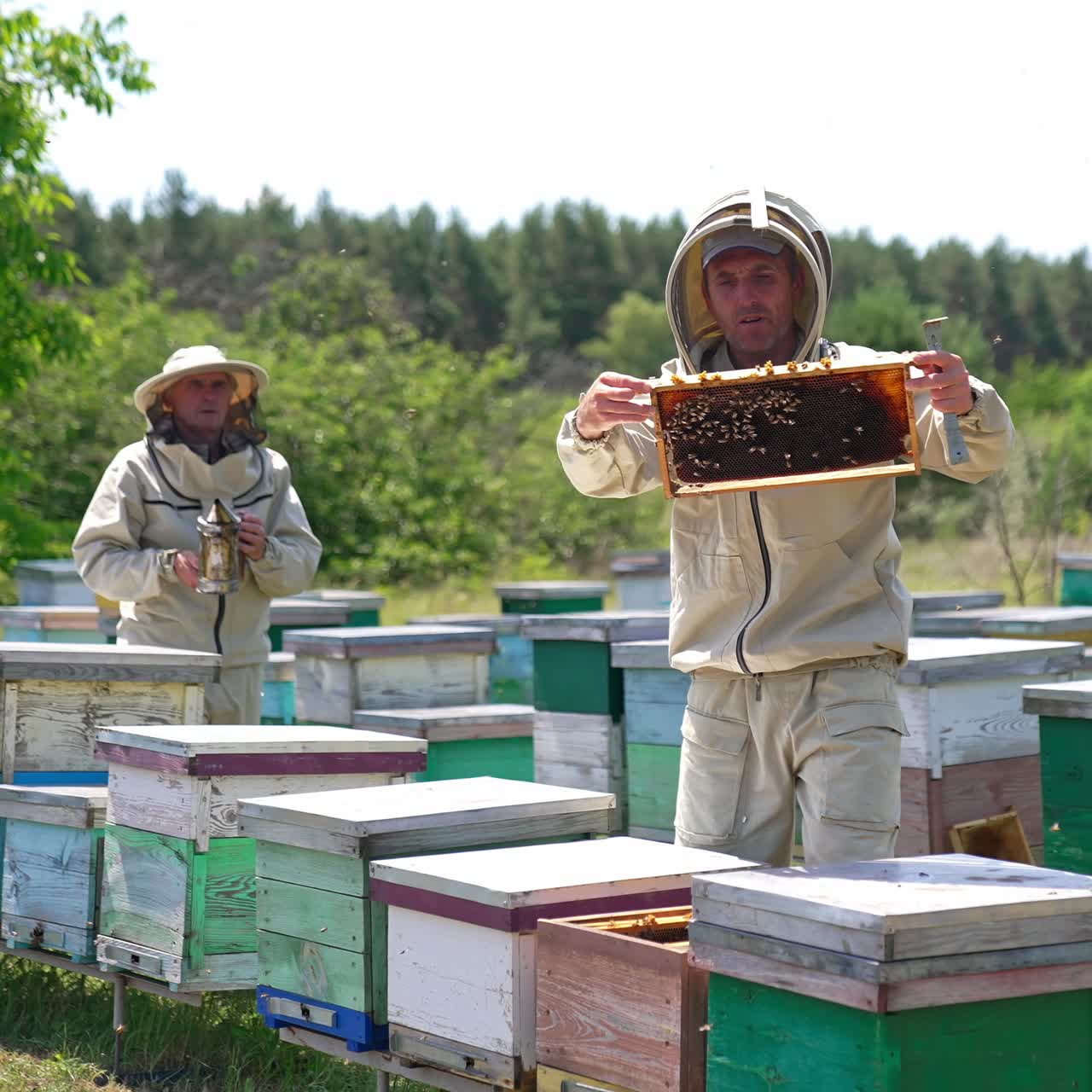 Beekeepers working at the large rural bee farm. Men in protective outfits and hats work together at apiary. Nature background