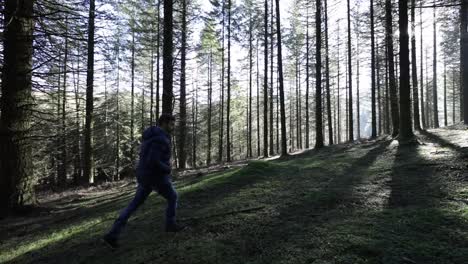 man walking on the cold morning through the forest