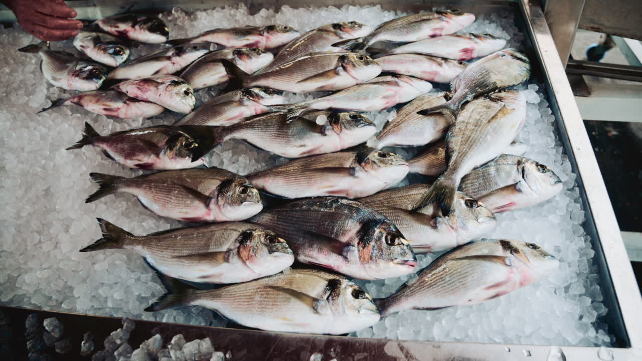 Close up shot of fresh whole fish being neatly arranged on a bed of crushed ice at a seafood market, highlighting their shiny scales and premium quality