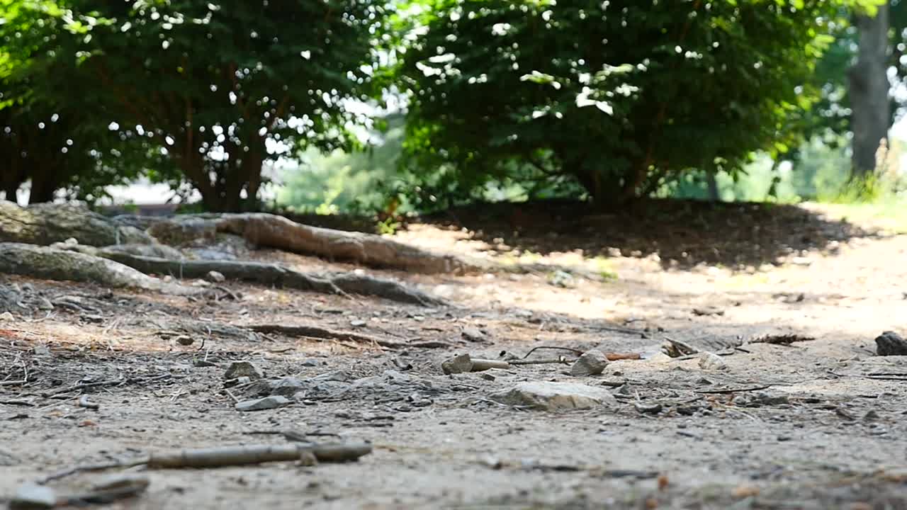 Mountain bike kicking up dust in slow motion, close-up