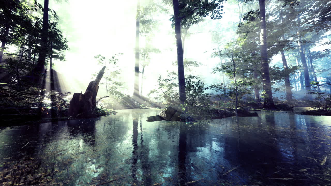 Misty forest with glowing water reflections creates magic