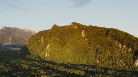 mountain landscape with lush forest