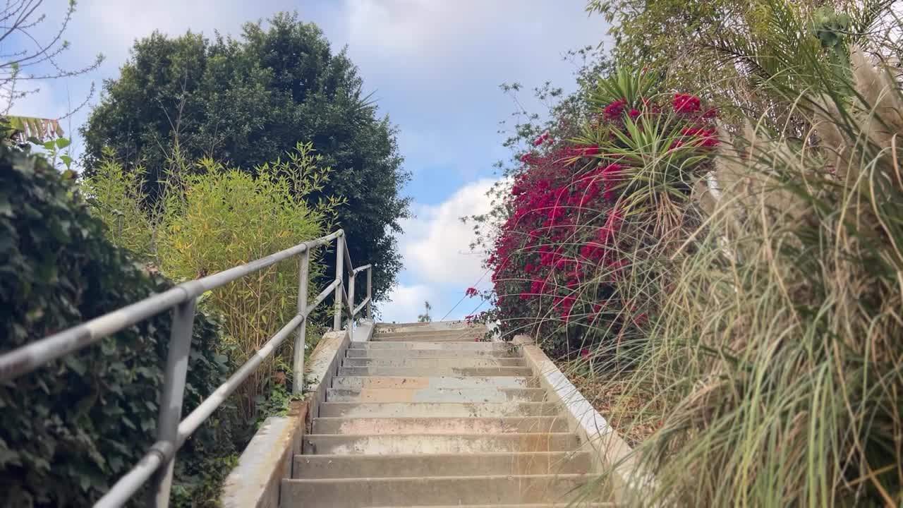 Vista verso l'alto di scalinate in collina a Silver Lake, Los Angeles, fiancheggiate da una lussureggiante vegetazione e fiori rossi sotto un cielo luminoso, catturando un'atmosfera residenziale tranquilla e uno stile di vita all'aperto