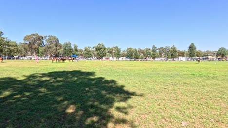caballos y jinetes preparándose para una carrera
