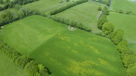 aerial view above green clean farm meadow patchwork countryside landscape tilting up into the distance