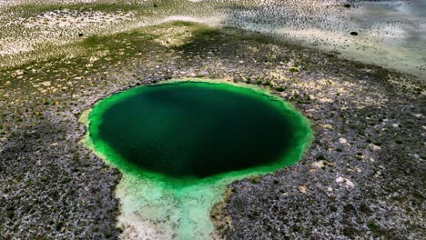 Bahamas-Blue-Hole,-Aerial-Fly-Up-and-Pan-Down-View