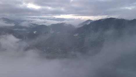 Antena:-Campos-De-Té-En-Cameron-Highlands