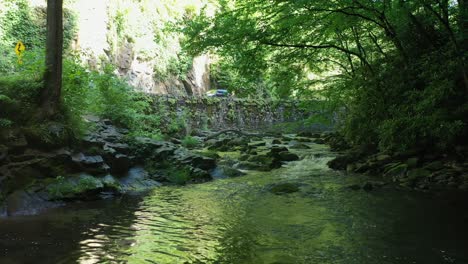 Arroyo-A-Lo-Largo-De-Una-Carretera-En-Las-Montañas-Humeantes-De-Tennessee