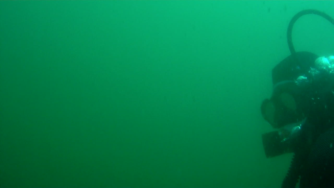 Scuba diver swims away at 3-4 angle.