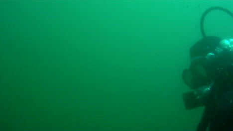 scuba diver swims away at 3-4 angle.