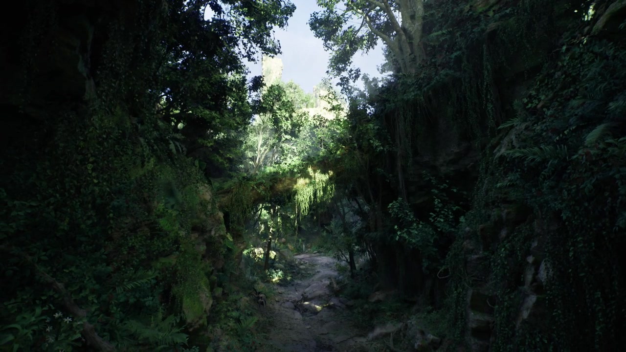 Lumière du soleil tachetée éclairant un sentier rocheux menant à l'aventure