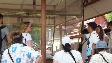 group of tourists engaged in a guided tour