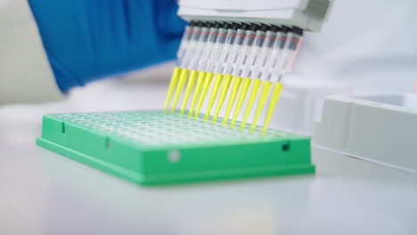 científico de investigación de cerca que dispensa líquido amarillo de una pipeta multicanal en una microplaca en un banco de laboratorio, 4k