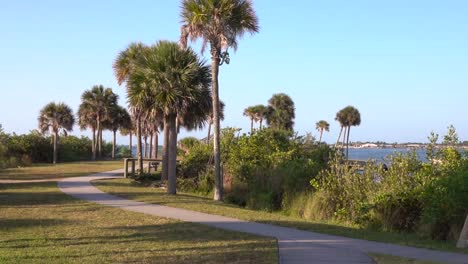 Early-morning-along-the-Banana-River-with-palm-trees-and-a-motning-sky