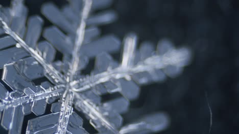 Snowflake-ice-crystal-stellar-dendrite-under-microscope