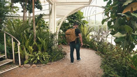 joven viajero caminando por un invernadero tropical