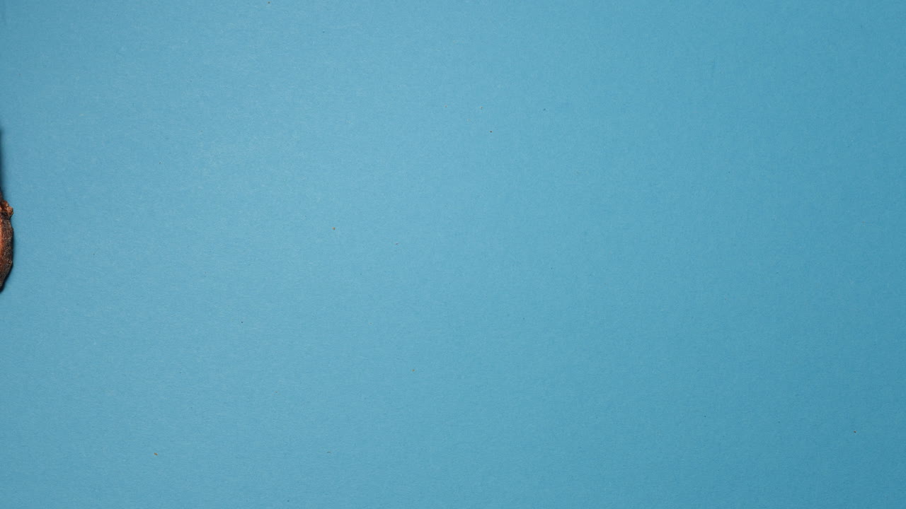 Vegetarian sandwich ingredients assembling a delicious burger on a blue background. Food idea. Stop motion