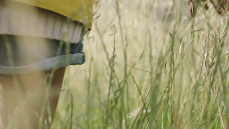 close up young woman hand touching long grass walking in field female hiking alone outdoors calm peaceful journey