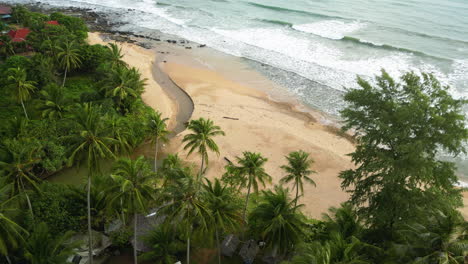 lush green jungle rainforest leading up to the dramatic beach shorelines of koh lanta, thailand