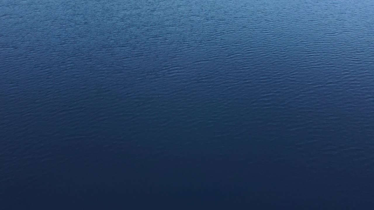 Water lake surface flyover with Loon flock on lake