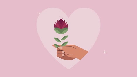 mano con una flor de rosa en el corazón