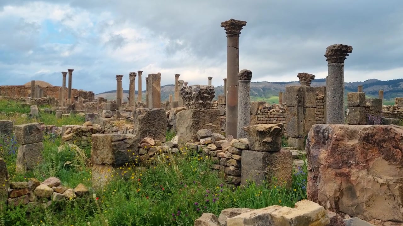 Revealing shot of ancient Roman ruins and weathered columns surrounded by lush green vegetation under an overcast sky at the historic site of Djemila in Algeria