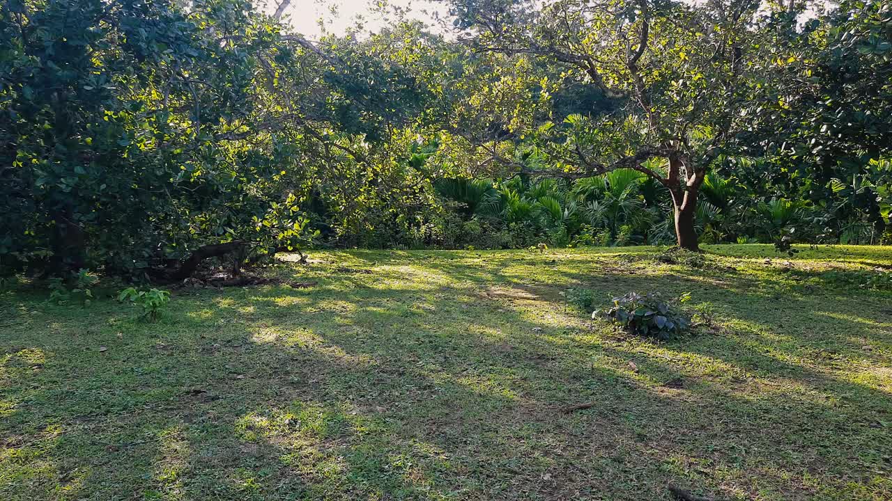 Pemandangan pedesaan yang indah dengan pepohonan dan halaman rumput di hari yang cerah