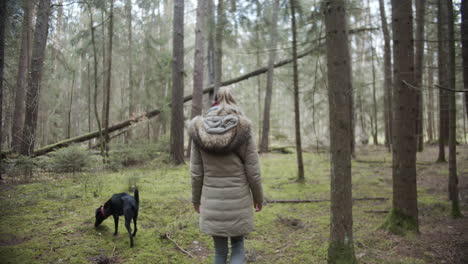 slow motion: woman walks her dog in the woods