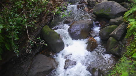 Pequeño-Arroyo-Que-Fluye-En-Una-Jungla